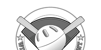 March 8th Wiffle Ball Tournament