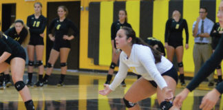 Girls Volleyball News Coming Soon